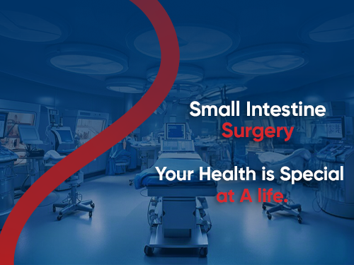Small Intestine Surgery (Enterotomy)